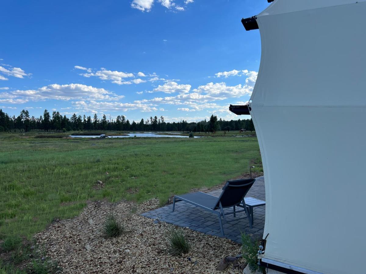 Backland Hotell Williams Exteriör bild